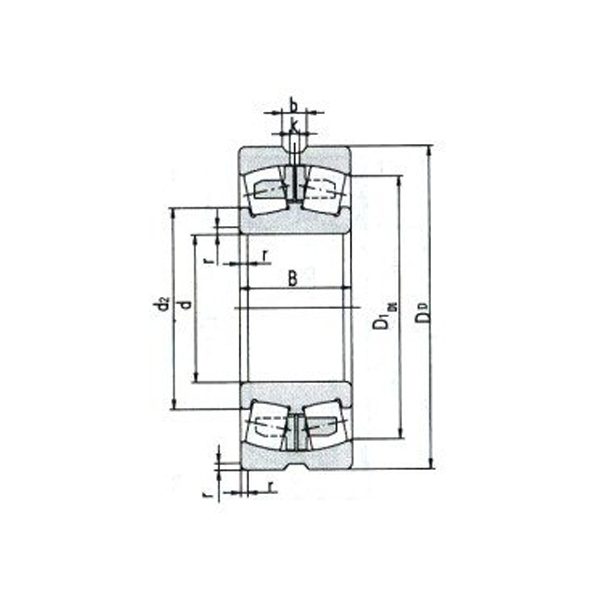 Rodamiento de rodillos esféricos para aplicaciones vibratorias